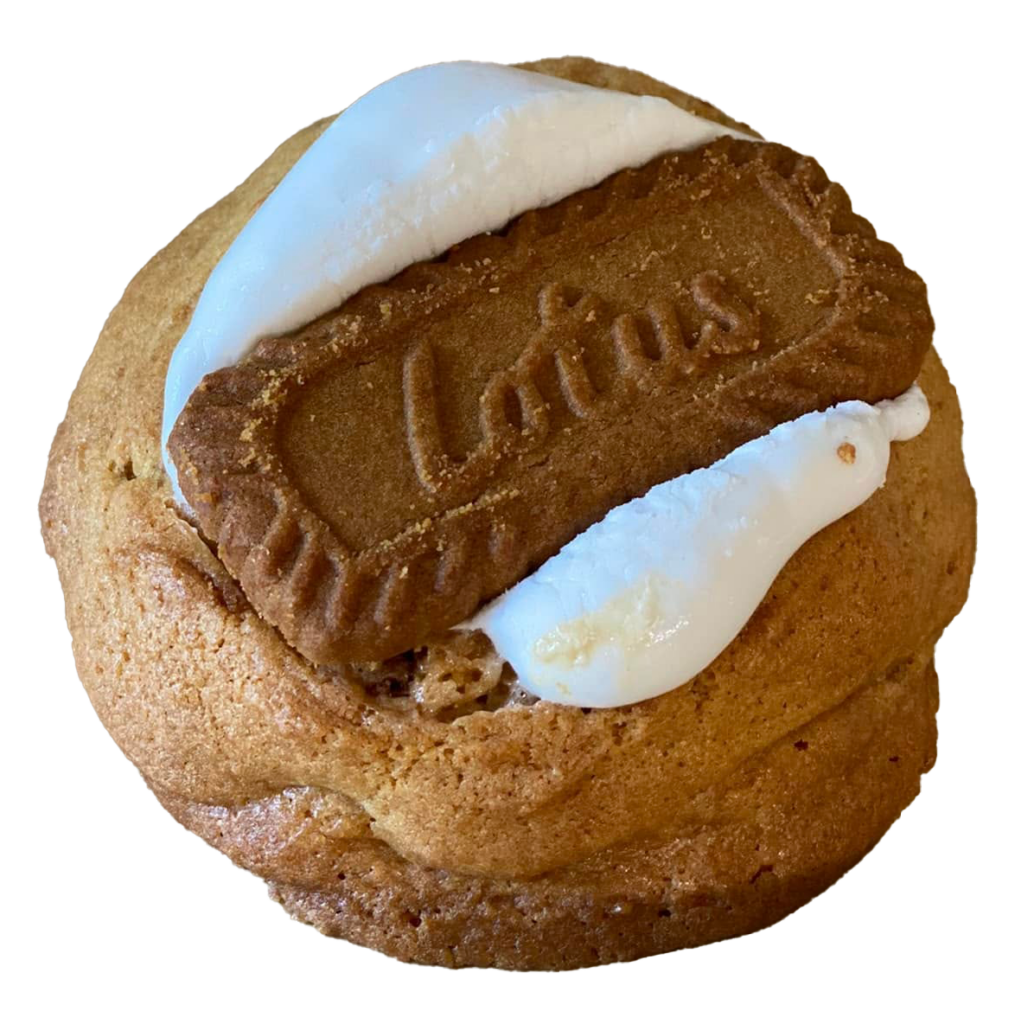 cookie_smore-biscoff