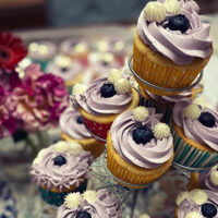 prod_cupcake_001 Blueberry Cupcake