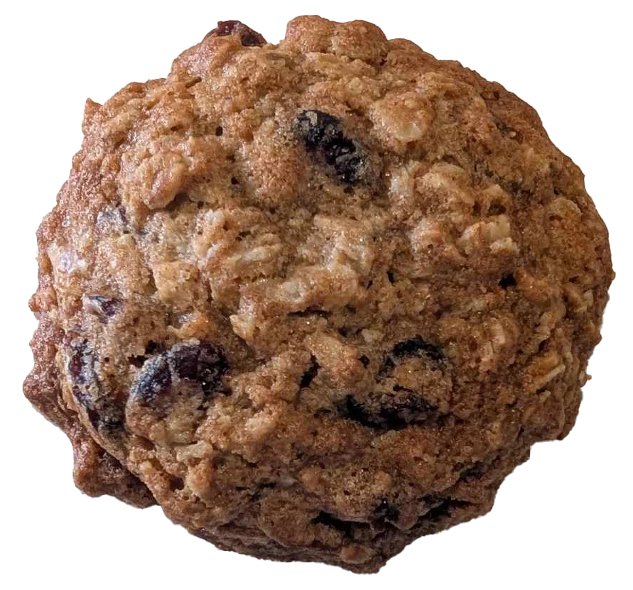 cookie_oatmeal-raisin-cranberry