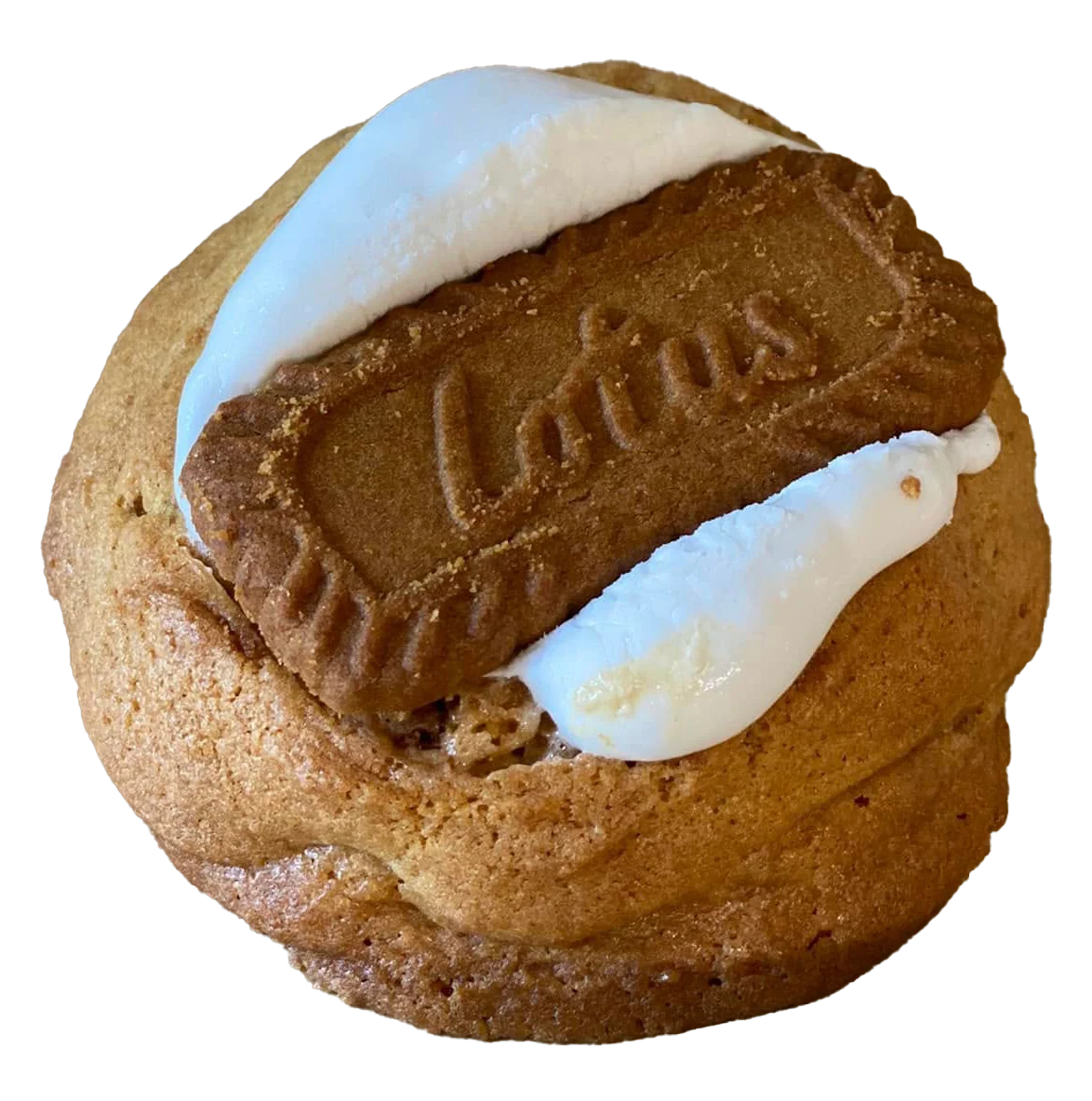 cookie_smore-biscoff