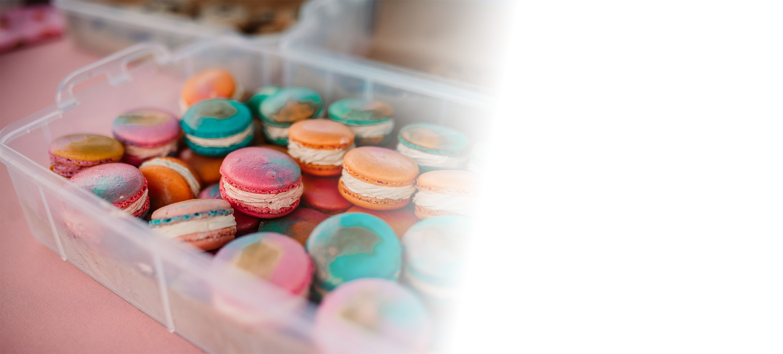 sweetchatchaya_macaron-slide-bg